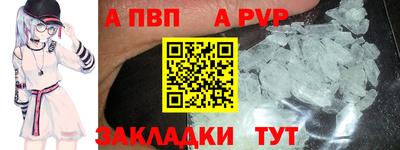 крисы Славгород