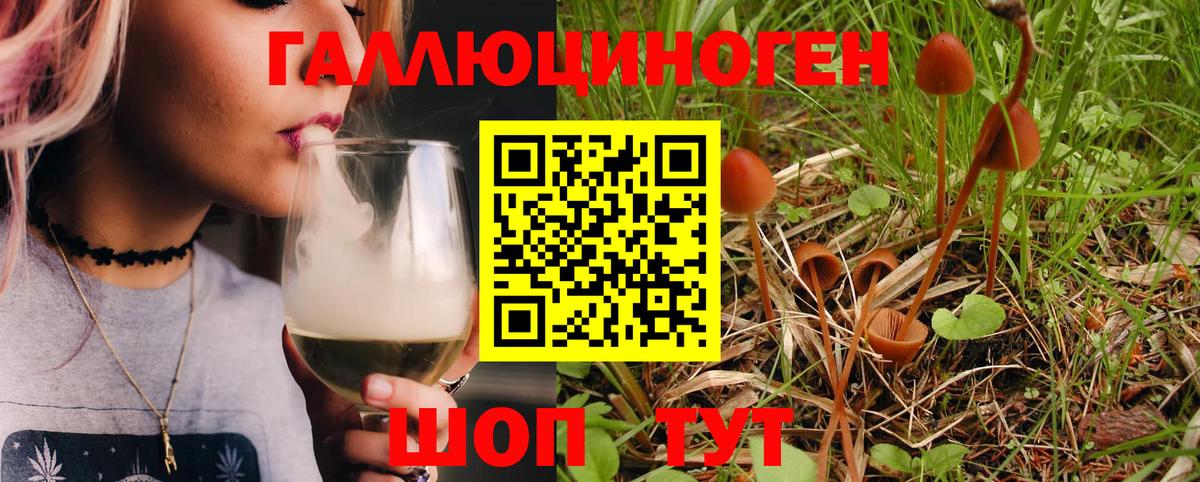 Псилоцибиновые грибы GOLDEN TEACHER Мончегорск