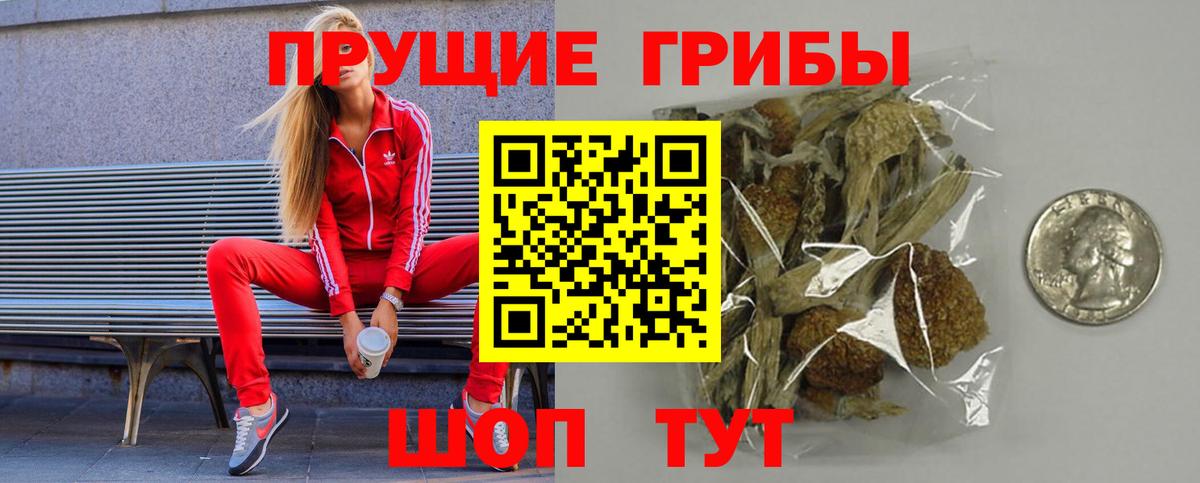 Мончегорск  Галлюциногенные грибы Psilocybine cubensis  Вход с VPN 